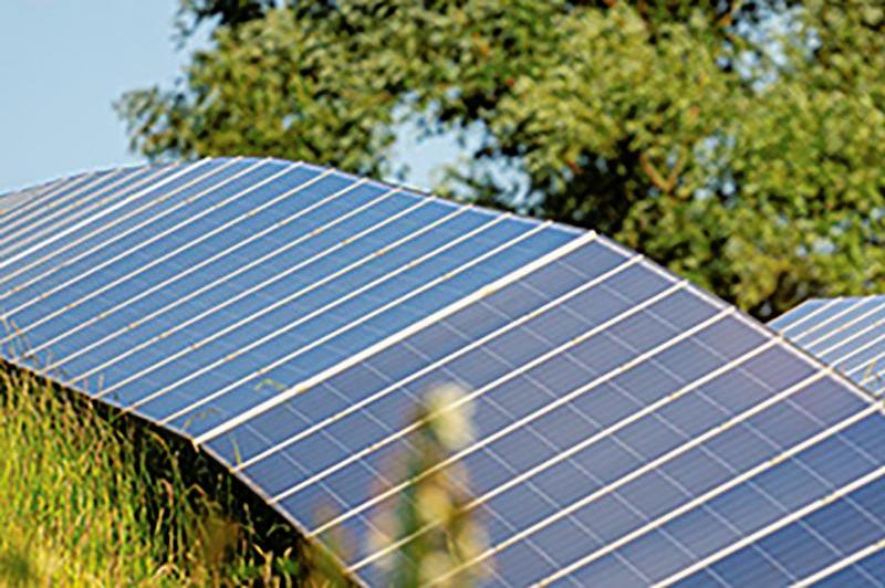 close up of a solar panel in a field with another behind and trees beyond