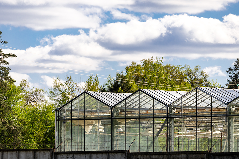 Stock image of three greenhouse roofs in a row, with a blue sky and trees behind them