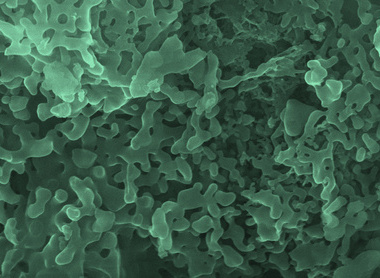 Microstructure image