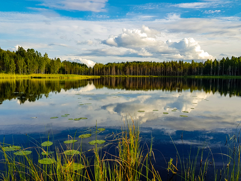 A lake in the forests of Finland