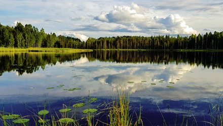 shutterstock_1305216673 copy.jpg