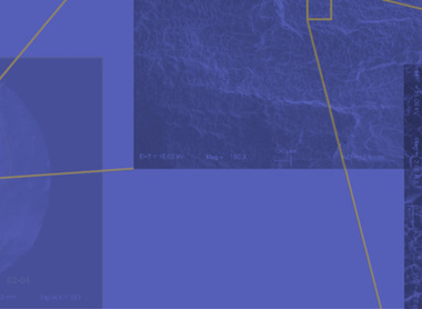 ECCC 2023  - blank background.jpg