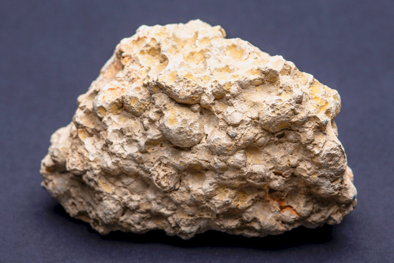 lump of beige rock