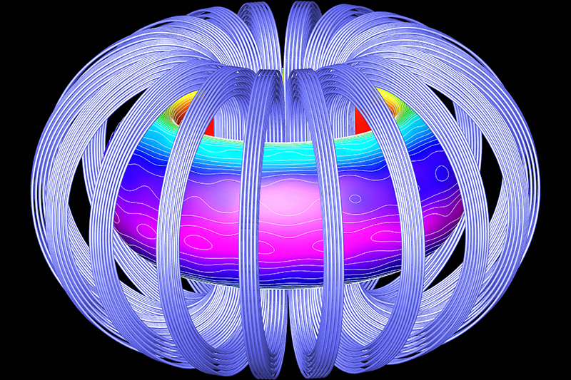 Colour contours indicate magnetic strength in a tokamak