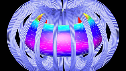 ITER_3D_plasma_equilibrium_with_ripple_contours_(4071616631) copy.jpg