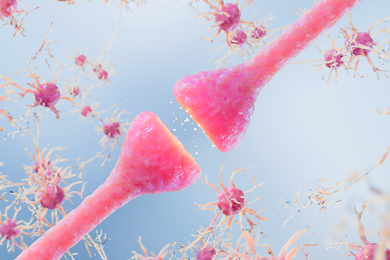 Stock 3D image of neural cells and synaptic connections