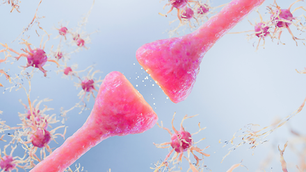 neurons_web.png