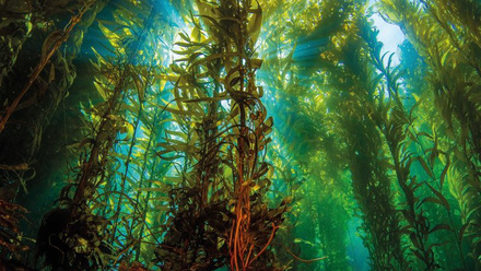 shutterstock_2398586237 CMYK.jpg