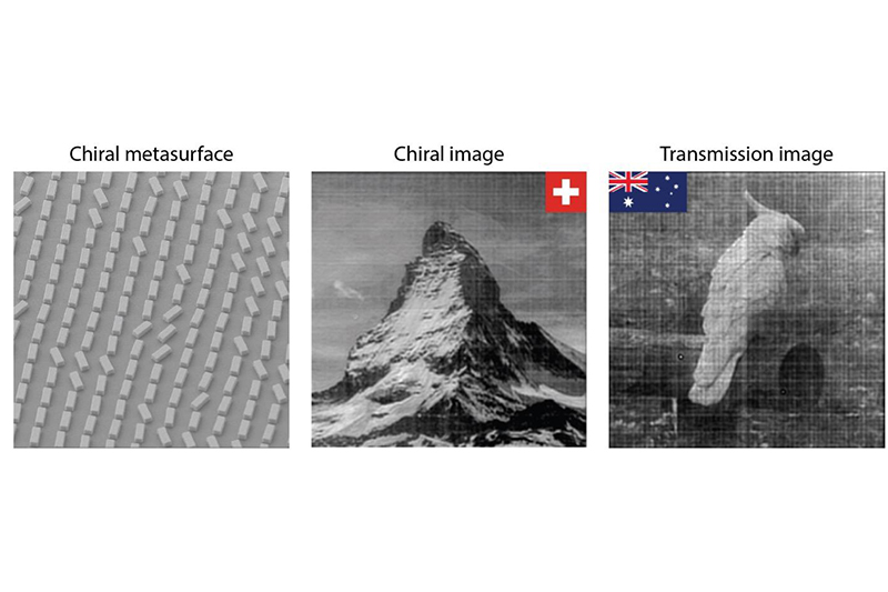 three balack and white images left rectangles at various orientations, centre Matterhorn, right cockatoo