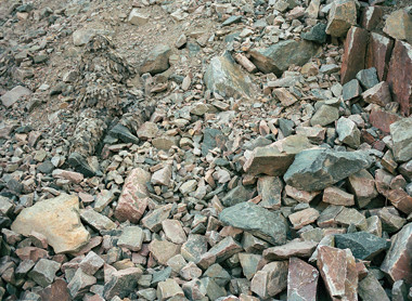 High-res camo image.jpg