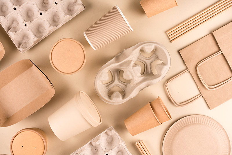 examples of fibre-based packaging including cup holders, soup pots, food containers and egg crates