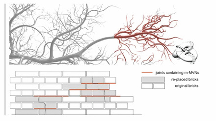 Biomimetric hero Vascular network CMYK.jpg