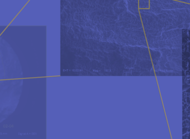 ECCC 2021, website top banner.png