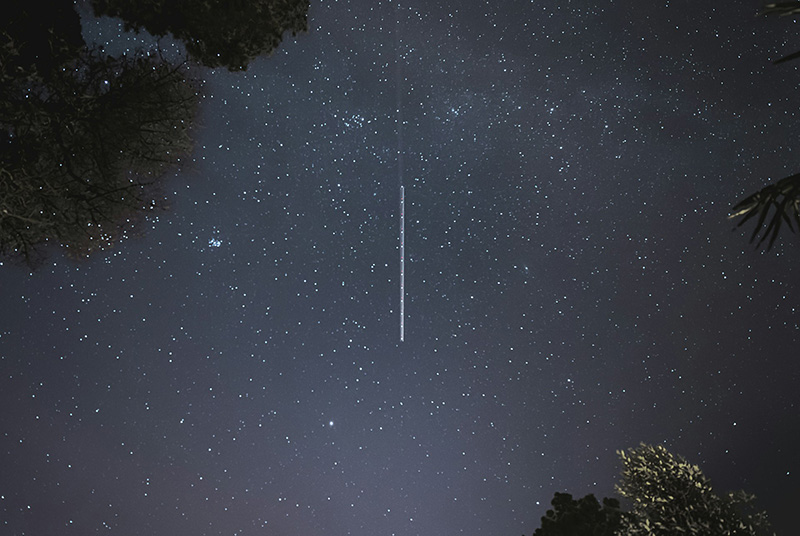 Night sky with a sattelite train at the centre of the shot, tree branches are visible to the top left and bottom right