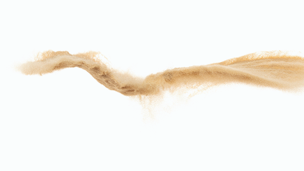 shutterstock_2614324119_web.png