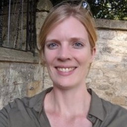 Prof Laurence Brassart