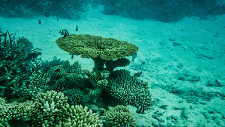 piermario-eva-vfR7hx06wVk-unsplash copy.jpg