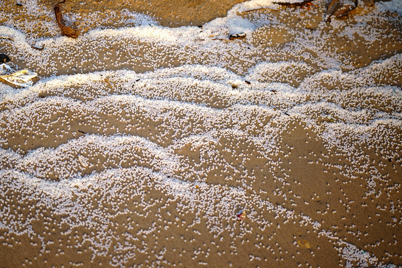 White plastic pellets strewn across a beach