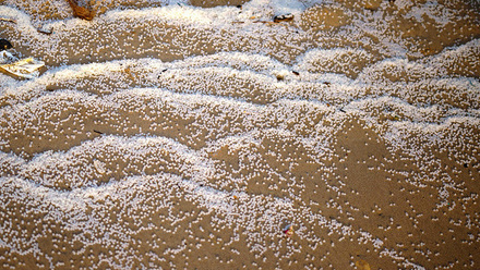 soren-funk-F-3_ygPs6sI-unsplash copy.jpg