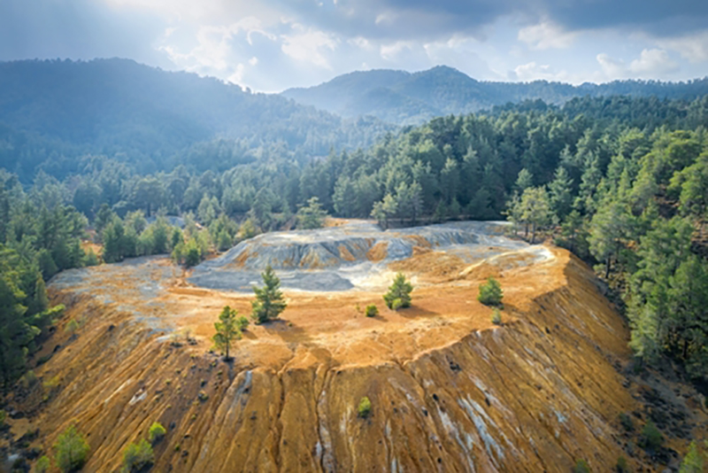 trees growing on an abandoned mine site