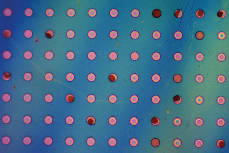 Rows of pink coloured dots against a blue background, a bubble-filled polymer film