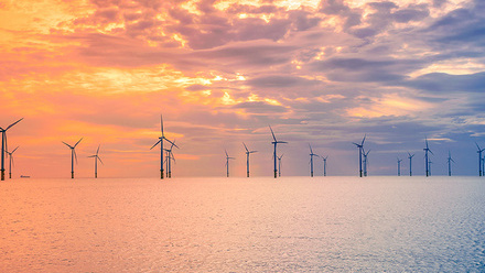 shutterstock_2465691621 (1).jpg