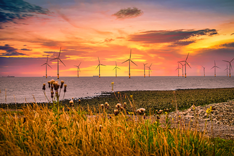 coastline and offshore wind farm in glowing sunset