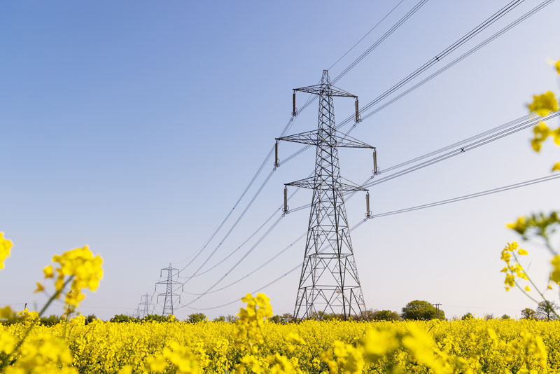three pylons visible to the right of the shot, standing ain a field of yellow rapeseed florers