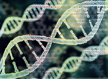 shutterstock_671206465Biotechnology bioinformatics Biomedical.jpg