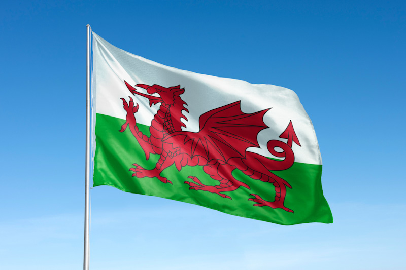flag flying from a white pole featuring red dragon on a white and green background