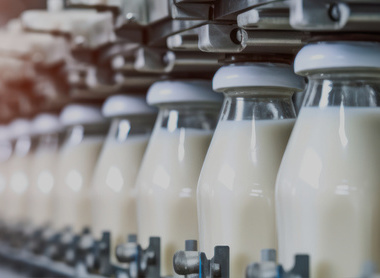 Photo of small glass bottles on a milk filling line