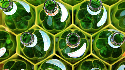 glass bottles in a wine rack