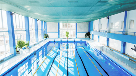 swimming pool_shutterstock_1033720399.jpg