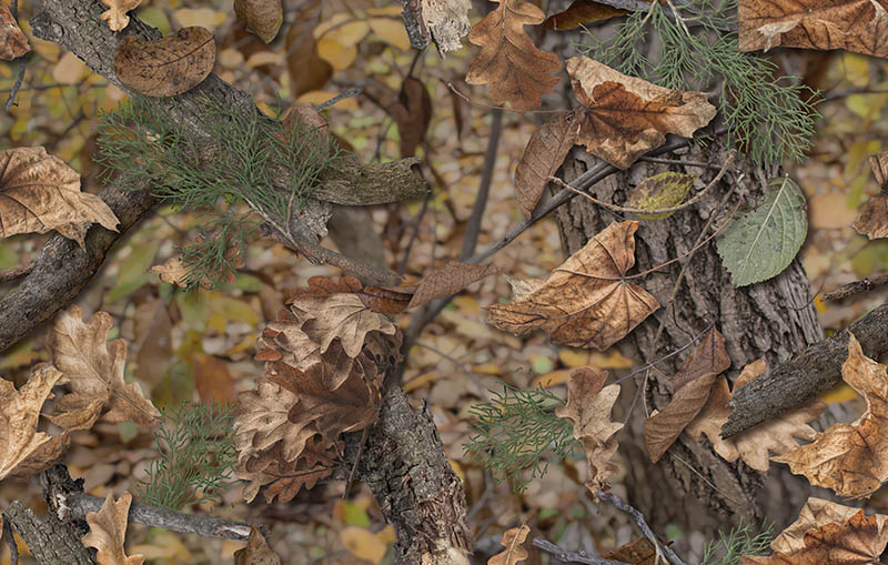 pile of leaves